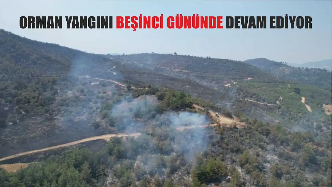 Orman yangını beşinci gününde devam ediyor