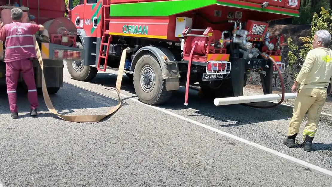 Orman yangını büyümeden söndürüldü