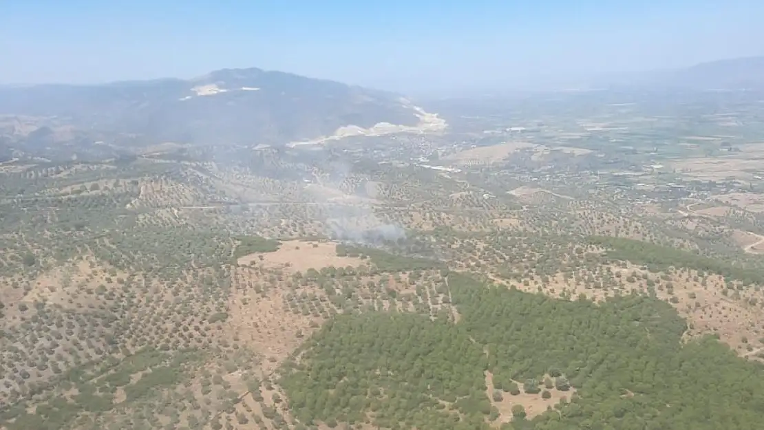 Orman yangını büyümeden söndürüldü