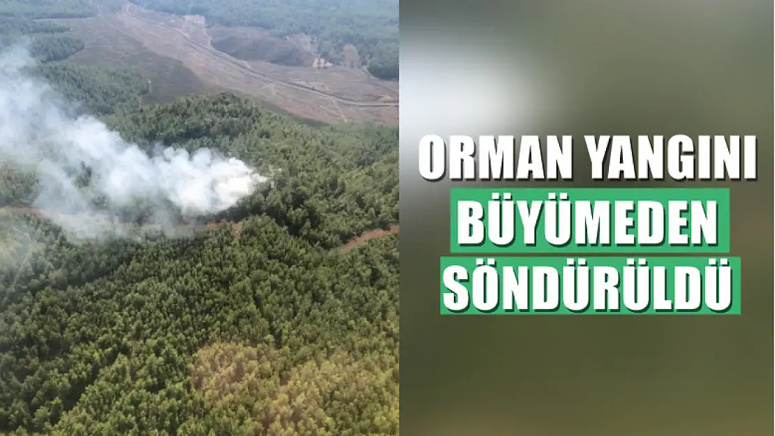 Orman yangını büyümeden söndürüldü