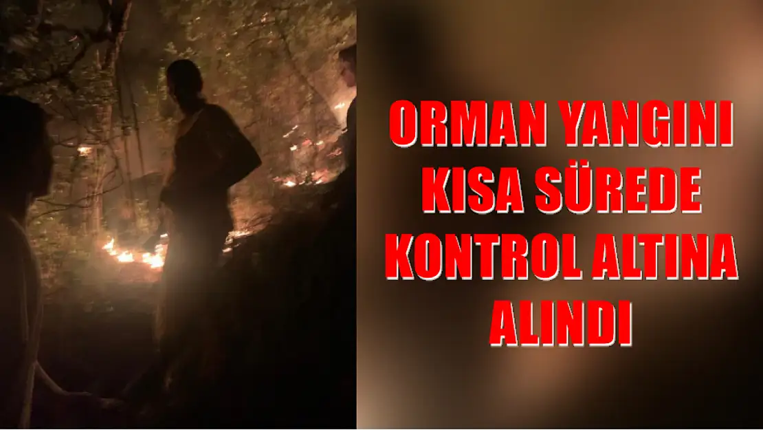 Orman yangını kısa sürede kontrol altına alındı