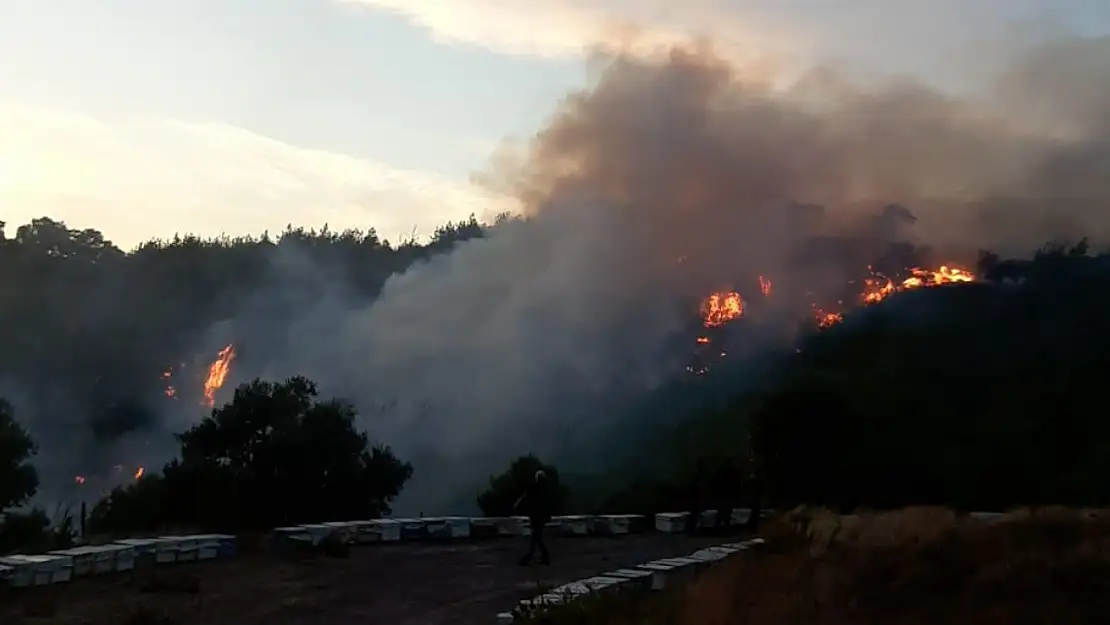 Orman yangını söndürüldü