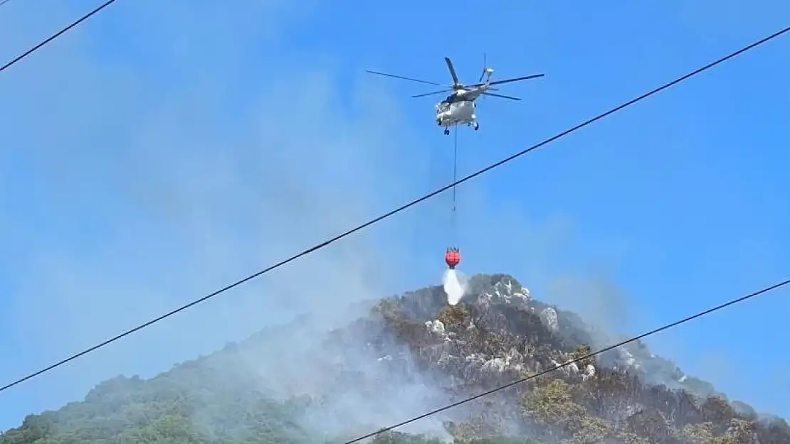 Orman yangınına havadan ve karadan müdahale ediliyor