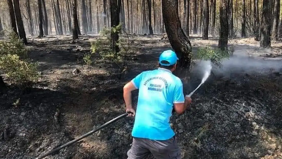 Orman yangınında tüm imkanlar seferber edildi