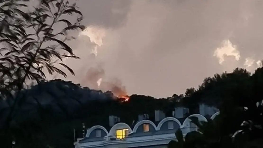 Ormana düşen yıldırım yangın çıkarttı