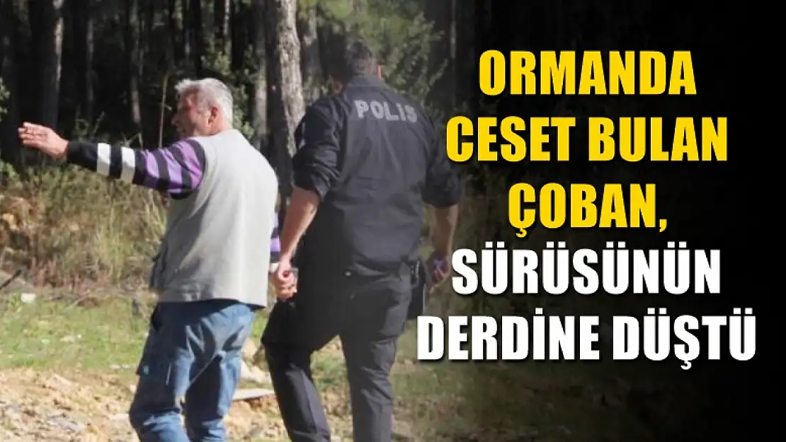 Ormanda ceset bulan çoban, sürüsünün derdine düştü