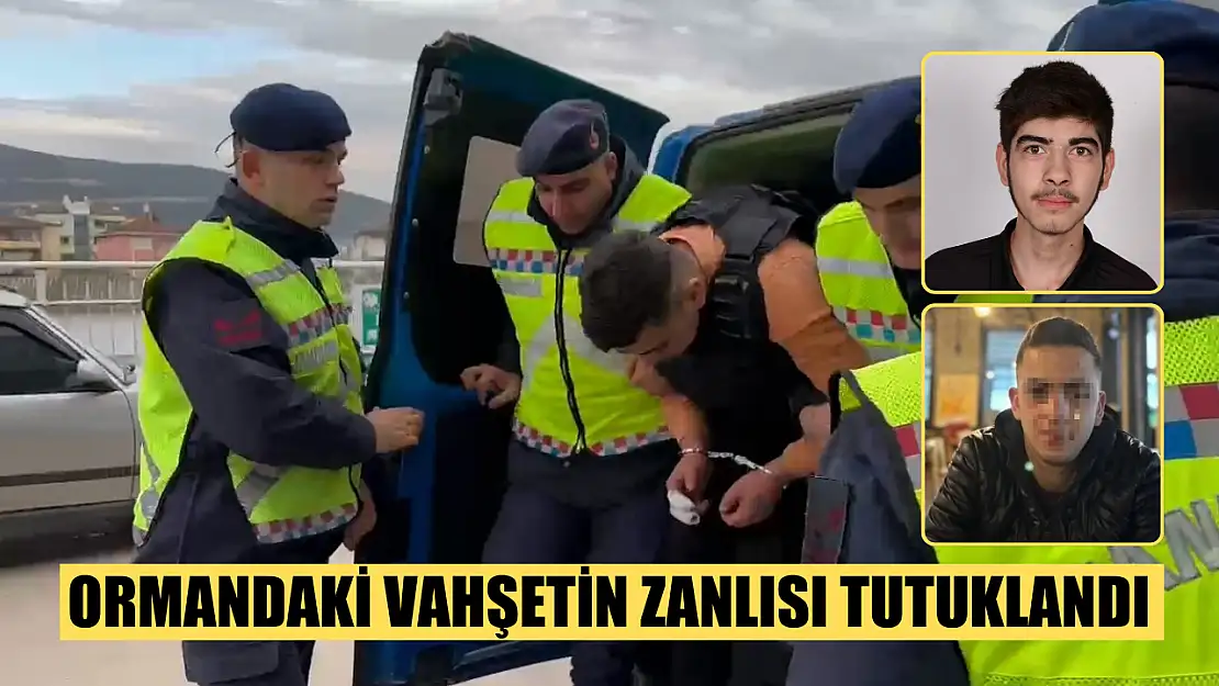 Ormandaki vahşetin zanlısı tutuklandı