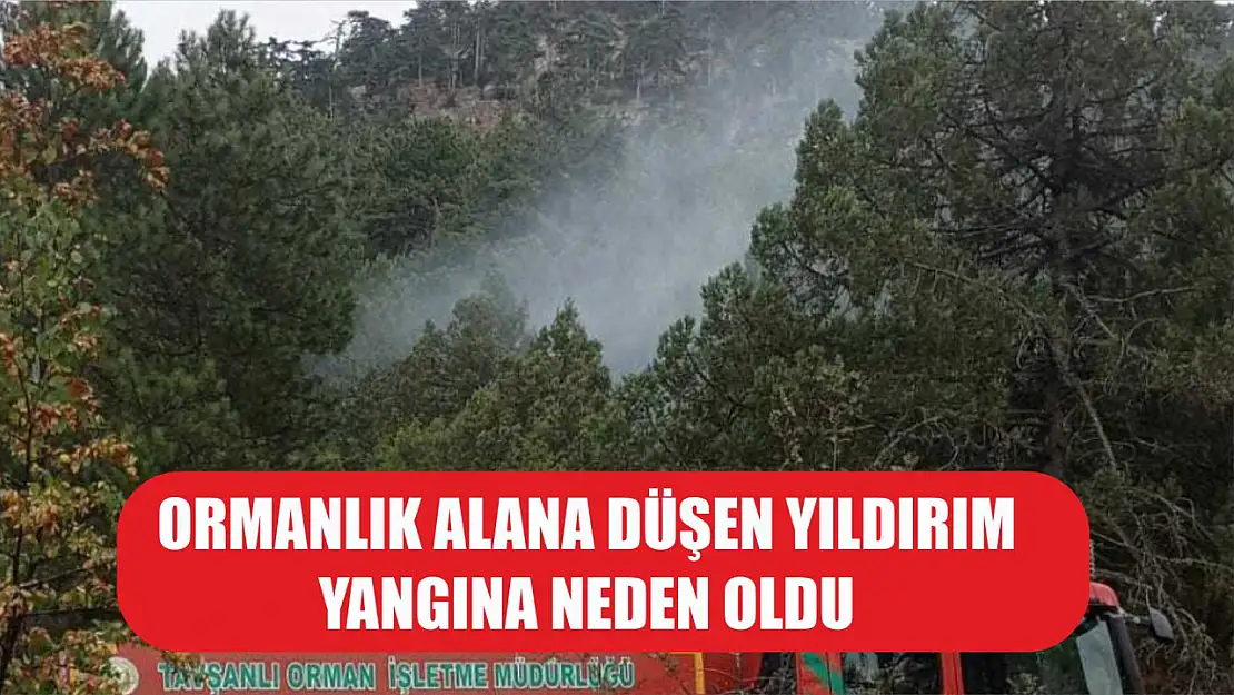 Ormanlık alana düşen yıldırım yangına neden oldu