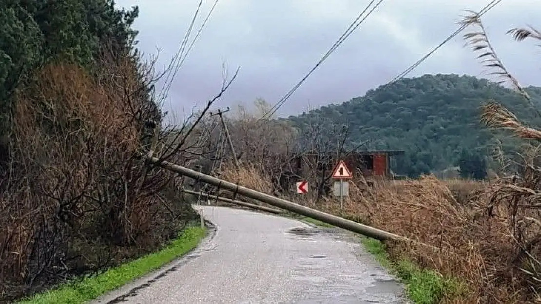 Ortaca'da fırtına çatıları uçurdu, aydınlatma direklerini devirdi