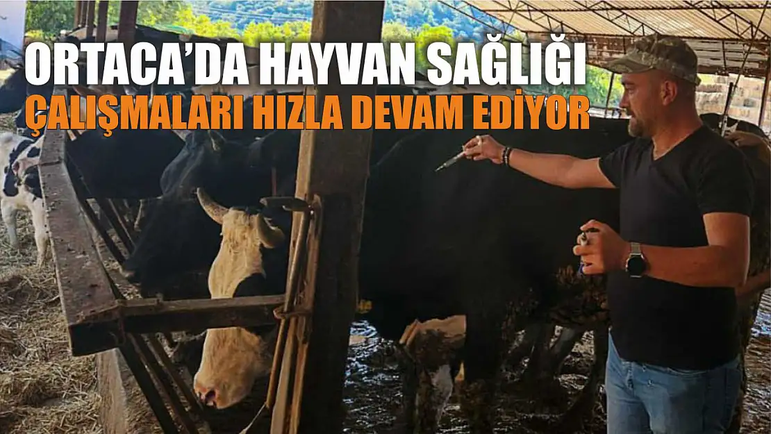 Ortaca'da hayvan sağlığı çalışmaları hızla devam ediyor