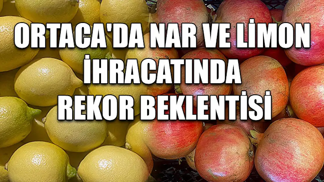 Ortaca'da Nar Ve Limon İhracatında Rekor Beklentisi