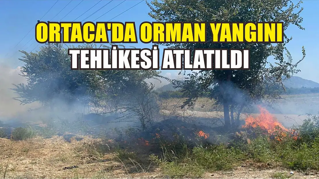 Ortaca'da orman yangını tehlikesi atlatıldı