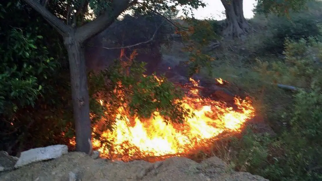 Ortaca'da orman yangını