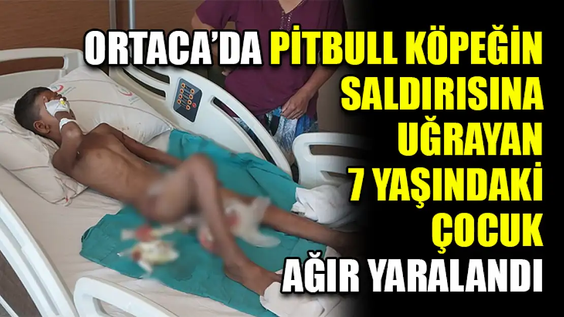 Ortaca'da Pitbull Köpeğin Saldırısına Uğrayan 7 Yaşındaki Çocuk Ağır Yaralandı