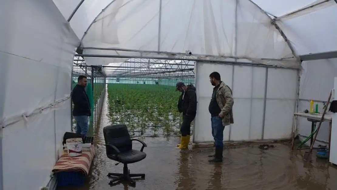 Ortaca'da seralar ve narenciye bahçeleri su altında kaldı