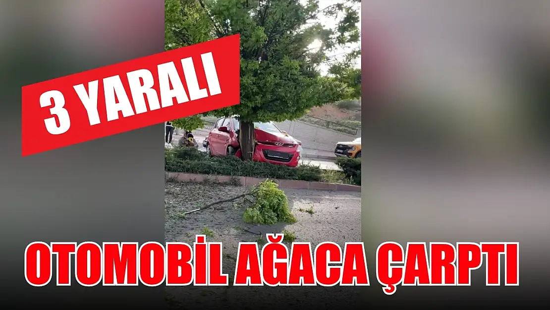 Otomobil ağaca çarptı: 3 yaralı