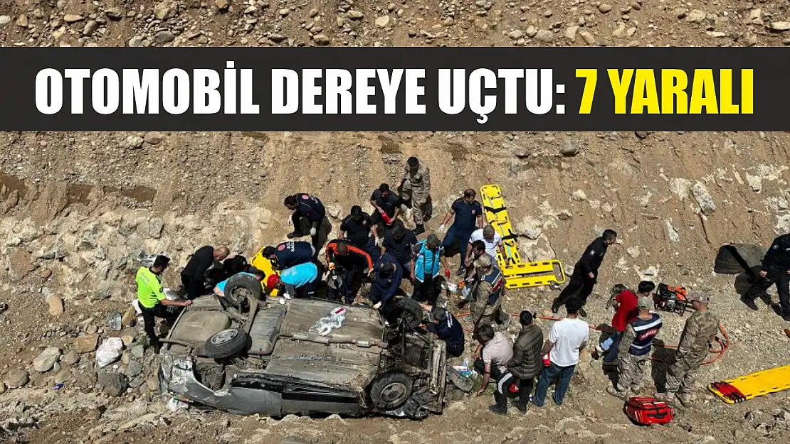 Otomobil dereye uçtu: 7 yaralı