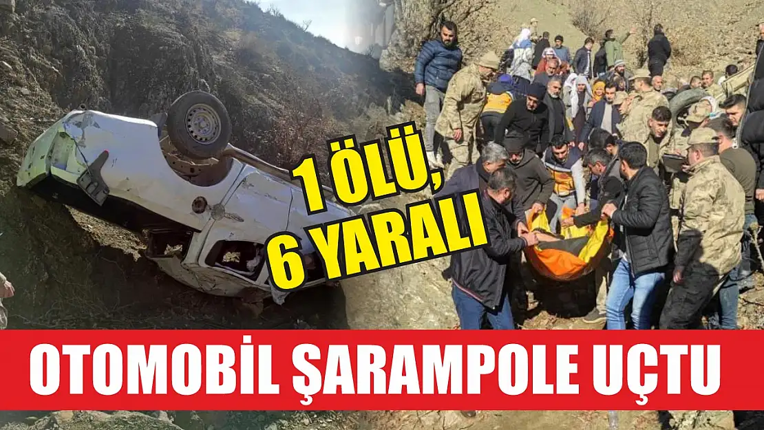 Otomobil şarampole uçtu: 1 ölü, 6 yaralı