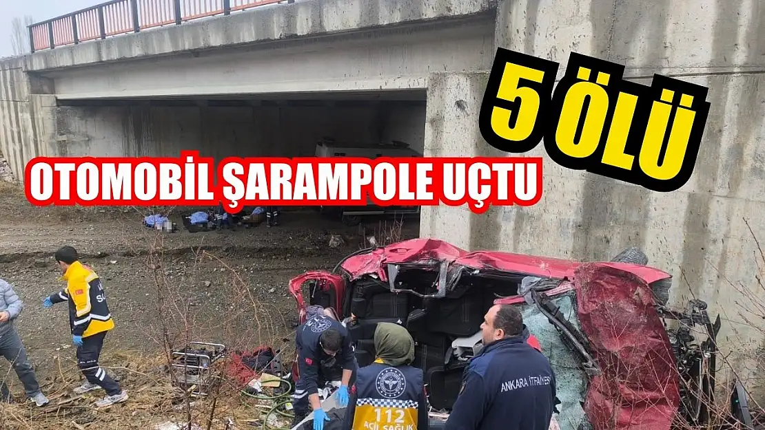 Otomobil şarampole uçtu: 5 ölü