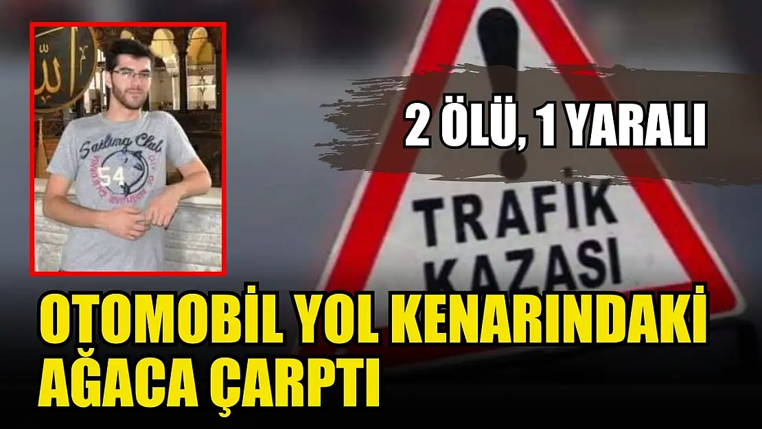 Otomobil yol kenarındaki ağaca çarptı 2 ölü, 1 yaralı