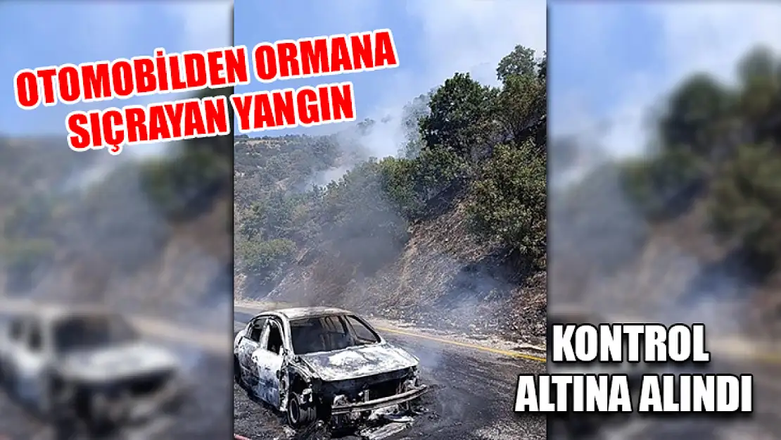 Otomobilden Ormana Sıçrayan Yangın Kontrol Altına Alındı