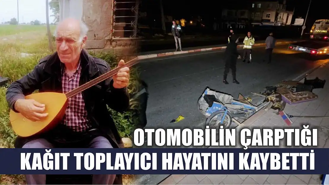 Otomobilin çarptığı kağıt toplayıcı hayatını kaybetti