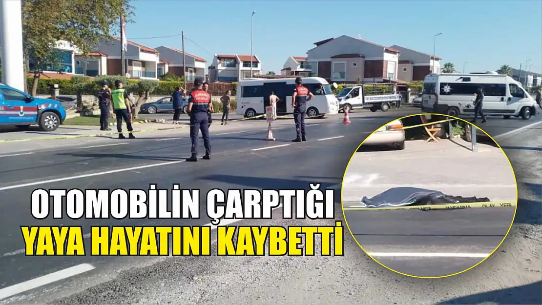 Otomobilin çarptığı yaya hayatını kaybetti