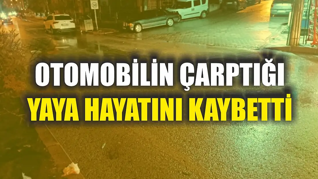 Otomobilin çarptığı yaya hayatını kaybetti