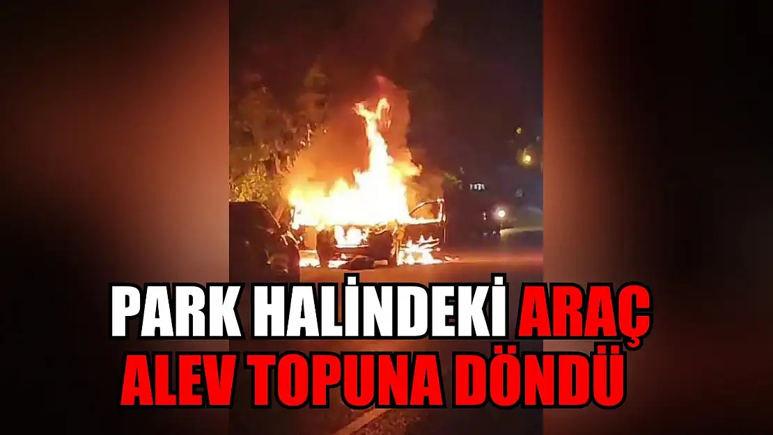 Park halindeki araç alev topuna döndü