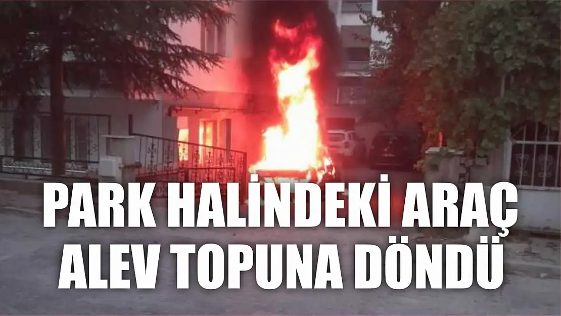 Park halindeki araç alev topuna döndü