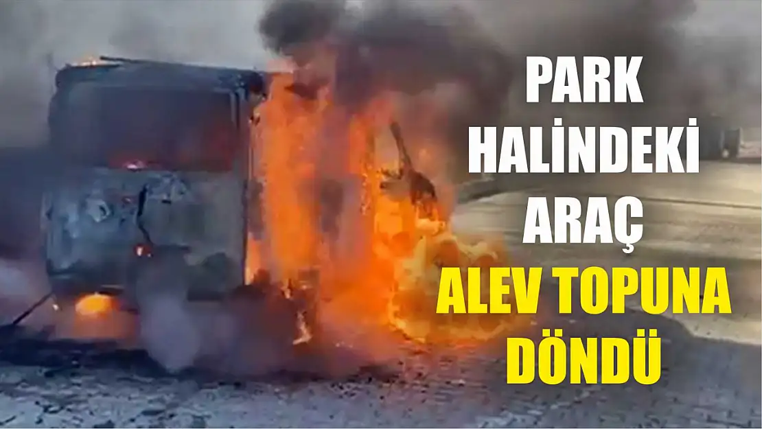 Park halindeki araç alev topuna döndü