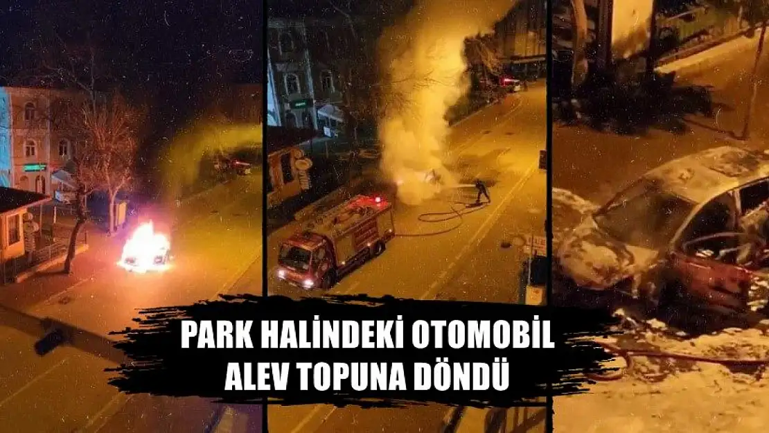 Park halindeki otomobil alev topuna döndü