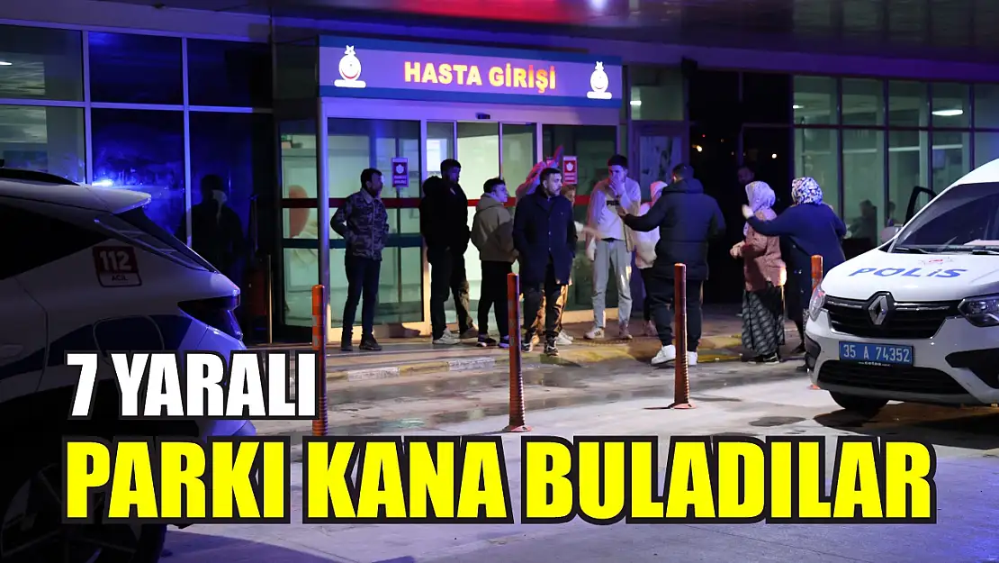 Parkı kana buladılar: 7 yaralı