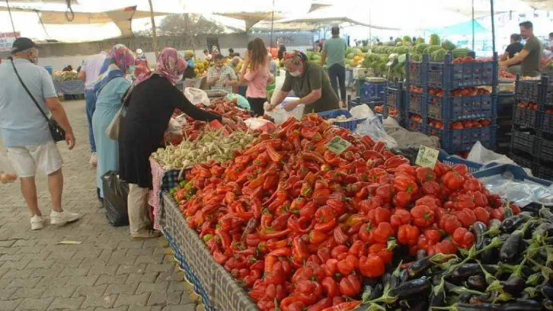 Pazarın Şampiyonu Yayla Börülcesi 