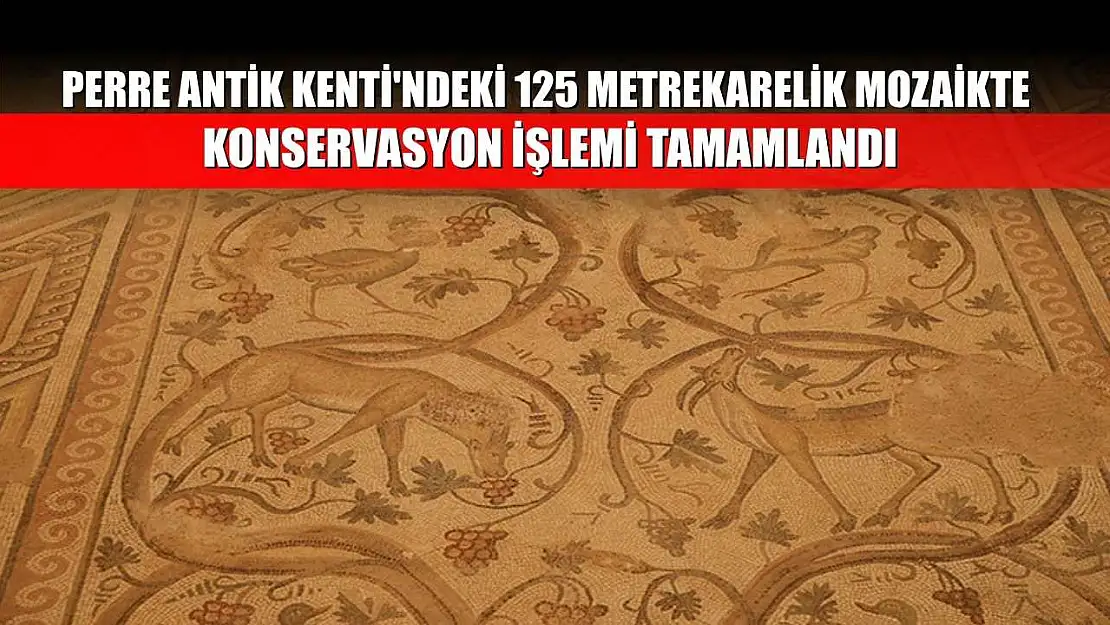 Perre Antik Kenti'ndeki 125 metrekarelik mozaikte konservasyon işlemi tamamlandı