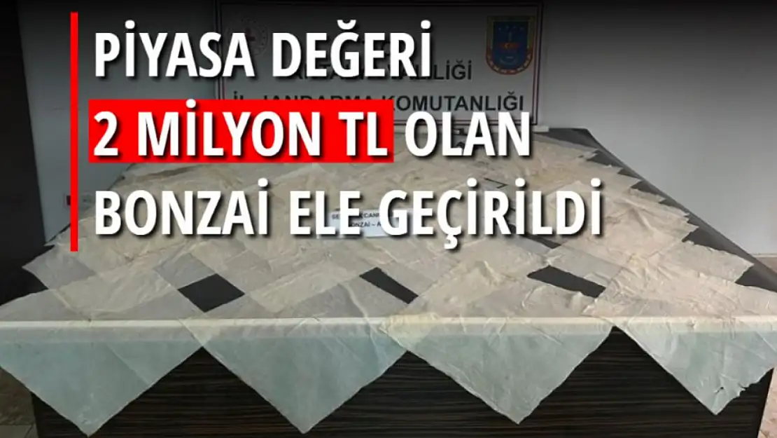 Piyasa değeri 2 milyon TL olan bonzai ele geçirildi