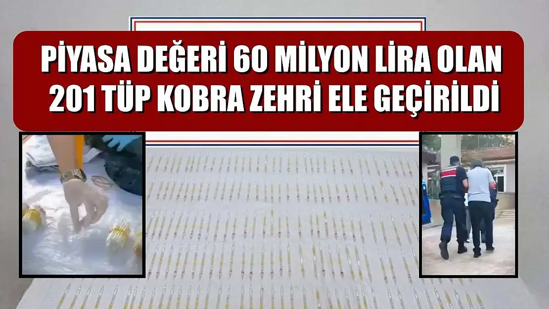 Piyasa değeri 60 milyon lira olan 201 tüp kobra zehri ele geçirildi
