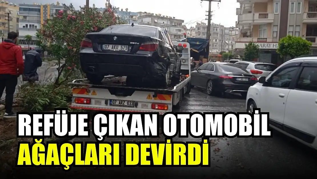 Refüje çıkan otomobil ağaçları devirdi