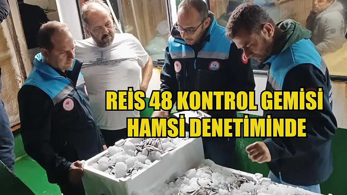 Reis 48 Kontrol Gemisi hamsi denetiminde