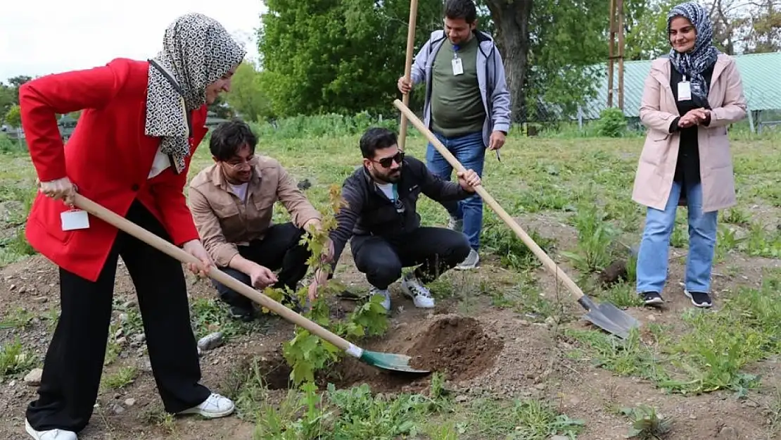 Sağlıkta farkındalık için fidan diktiler