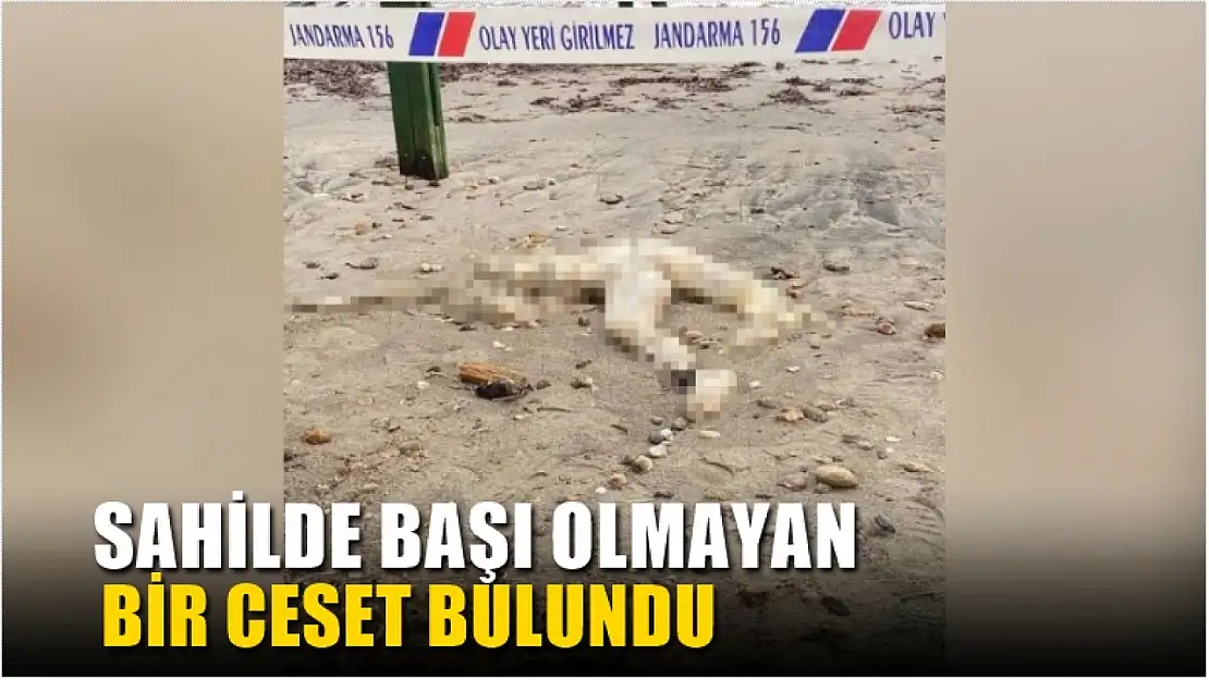 Sahilde başı olmayan ceset bulundu