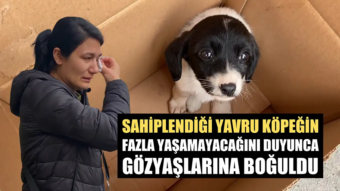 Sahiplendiği yavru köpeğin fazla yaşamayacağını duyunca gözyaşlarına boğuldu