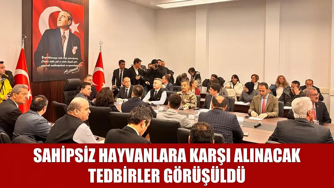 Sahipsiz hayvanlara karşı alınacak tedbirler görüşüldü