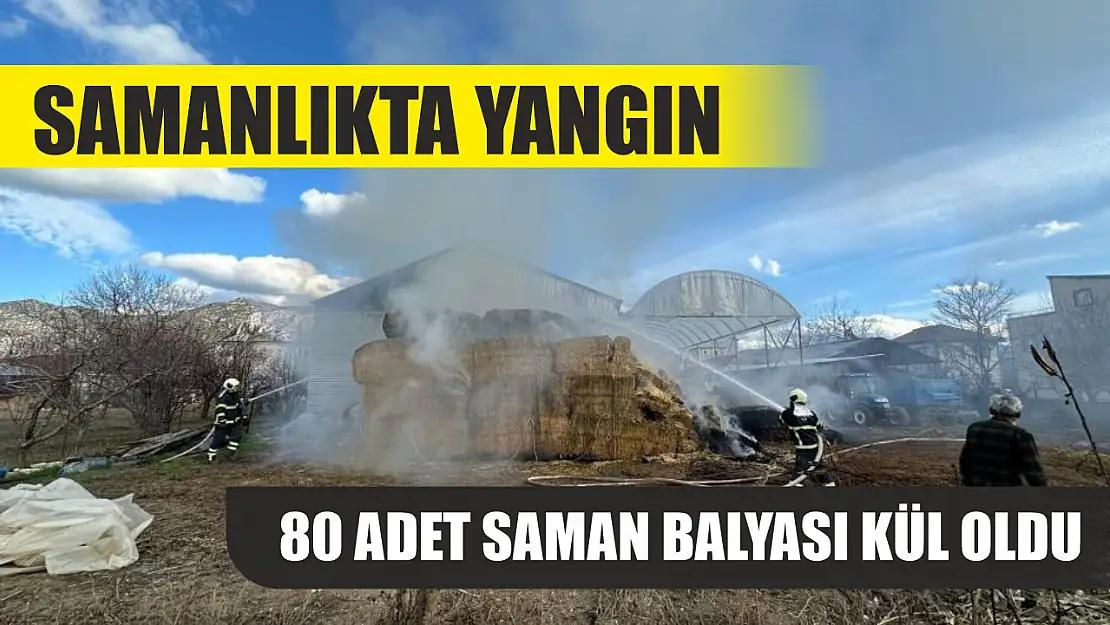 Samanlıkta yangın 80 adet saman balyası kül oldu