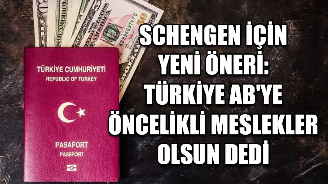 Schengen için yeni öneri: Türkiye AB'ye öncelikli meslekler olsun dedi