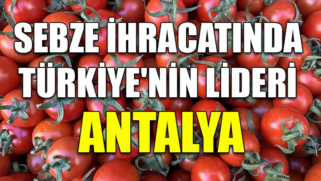 Sebze ihracatında Türkiye'nin lideri Antalya