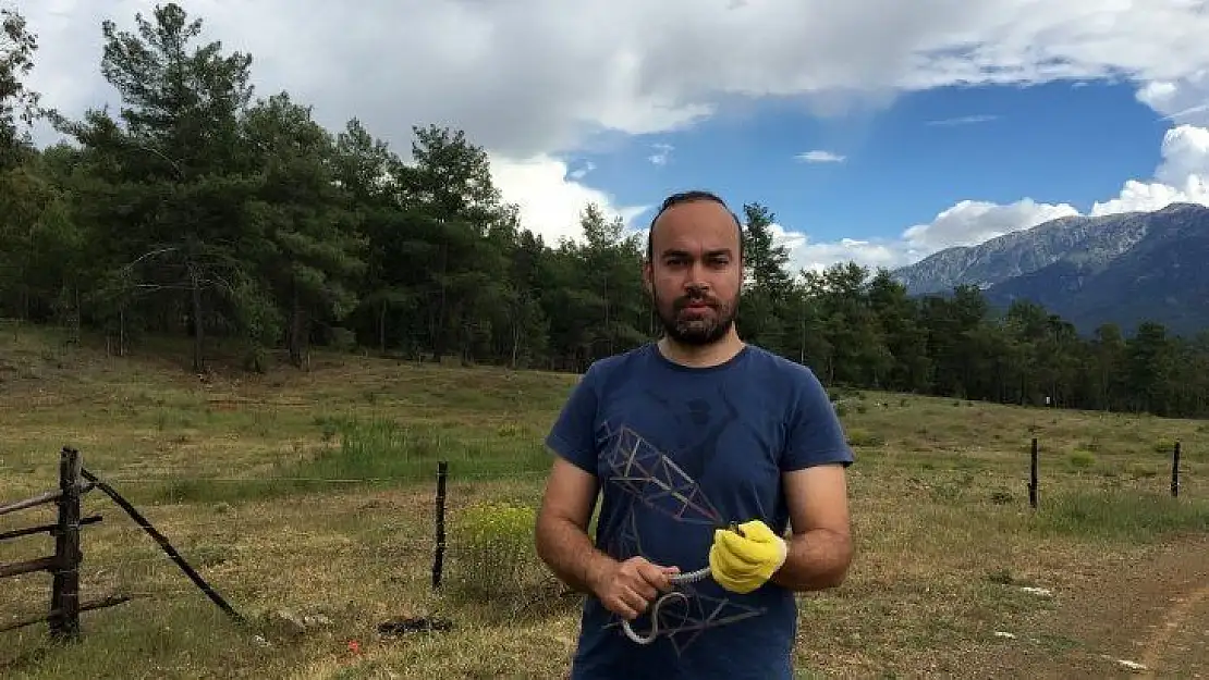 Şehir merkezinde bulunan bukalemun ve yılan doğaya salındı