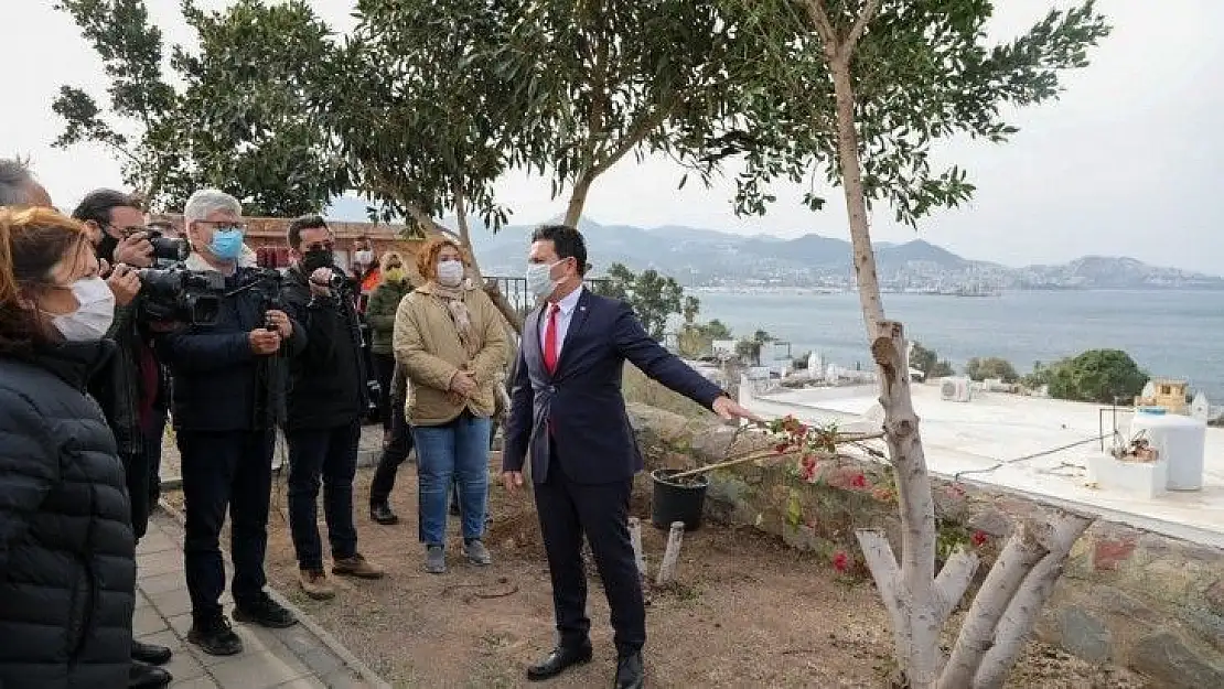 Şehit Pilot Anısına Dikilen Ağaçların Kesilmesine Başkan Aras'tan Sert Tepki