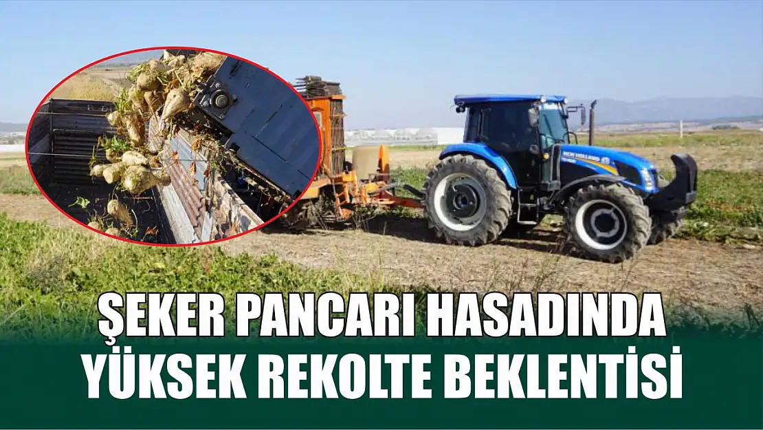 Şeker pancarı hasadında yüksek rekolte beklentisi