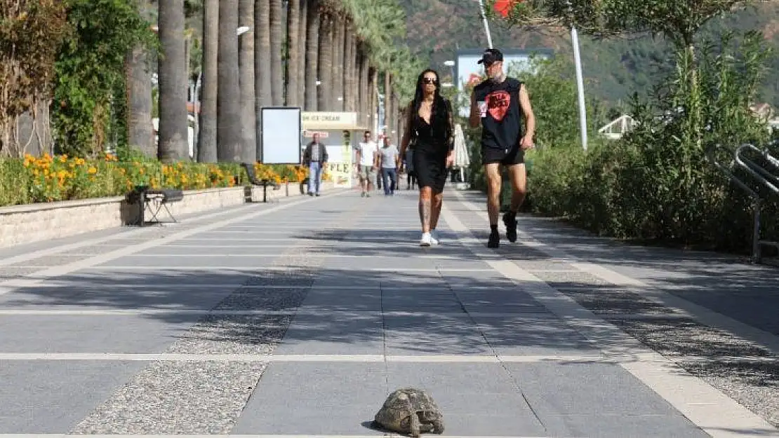 Selden sonra yapılan çalışmalarla, Marmaris normale döndü